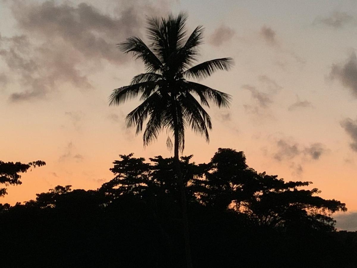 Green Queendom Farm And Lodging Oracabessa Bagian luar foto