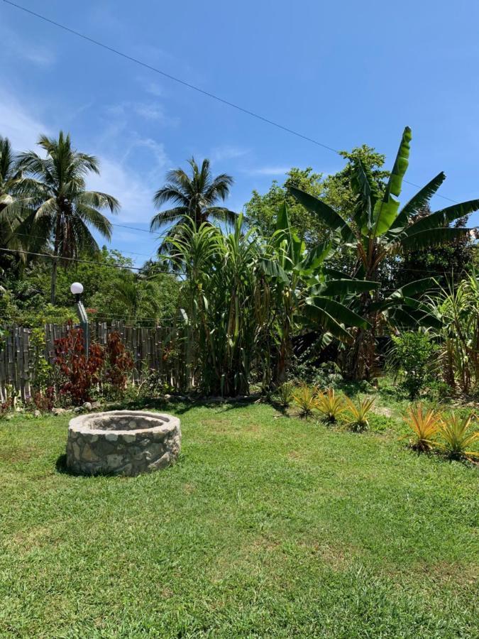 Green Queendom Farm And Lodging Oracabessa Bagian luar foto