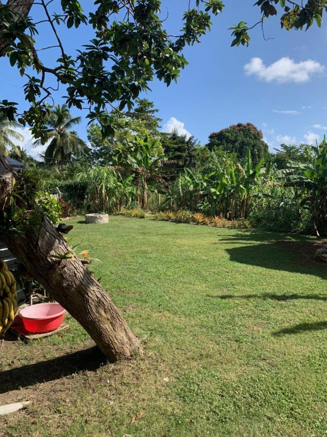 Green Queendom Farm And Lodging Oracabessa Bagian luar foto