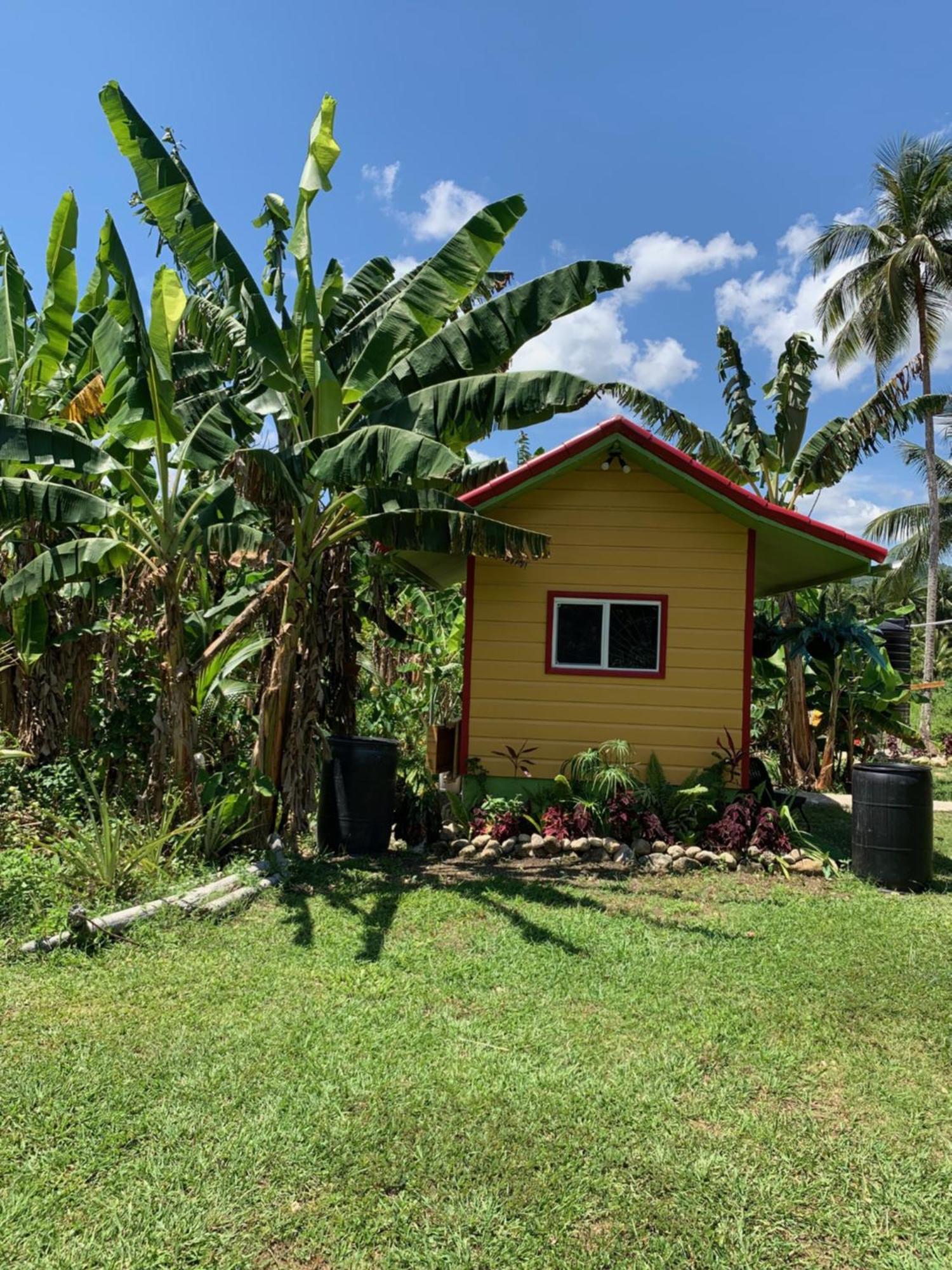 Green Queendom Farm And Lodging Oracabessa Bagian luar foto